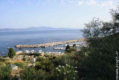 Le port de Cargese