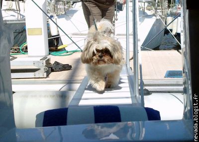 Sa Majesté Clade revient sur sur bateau apres sa promenade